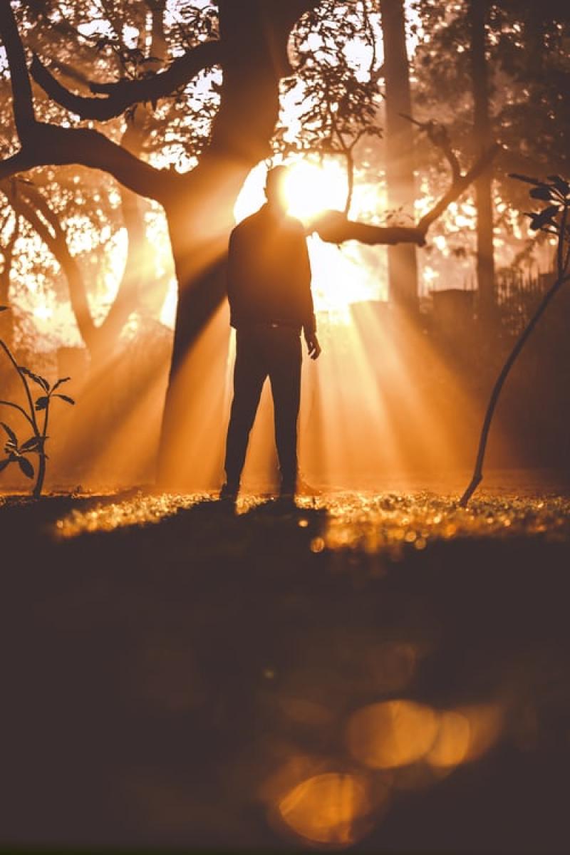 Freedom: libri cristiani